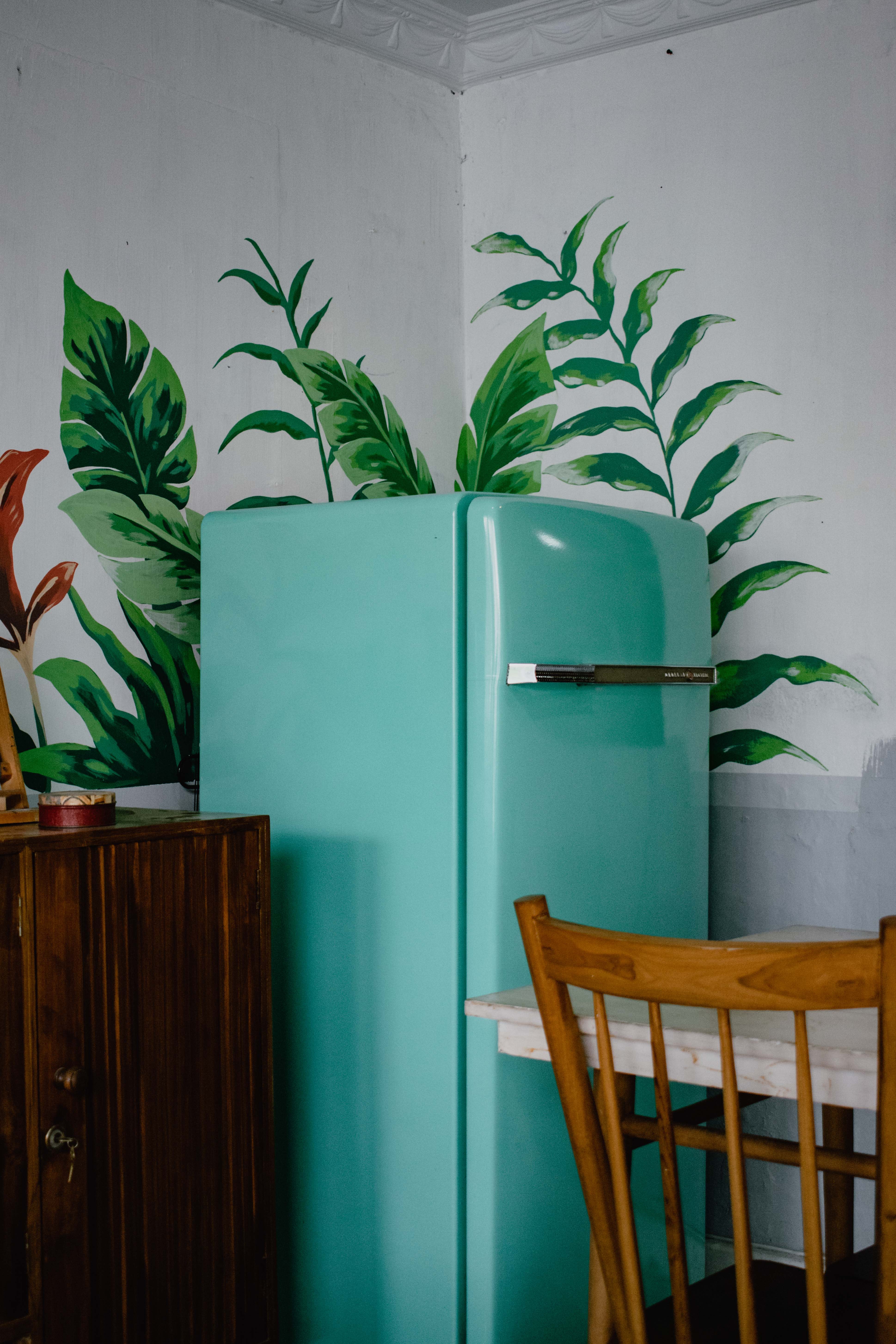 photo of Fridge